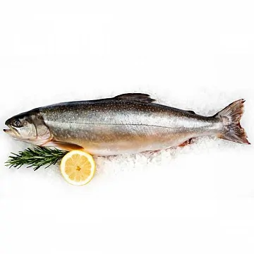 Фото Голец свежемороженый блочной заморозки вылов 2025г УЦЕНКА 