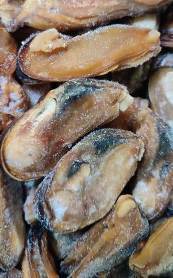 Мидия Грея мясо варено-мороженая  Фото Мидия Грея мясо варено-мороженая