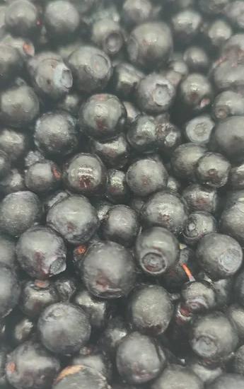 Черника свежемороженая (мешок 30кг) Фото Черника свежемороженая (мешок 30кг)
