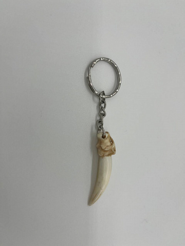 Клыки рыси с головой из рога лося Фото Клыки рыси с головой из рога лося