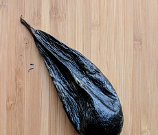 Желчь медведя вяленая (50-70гр)