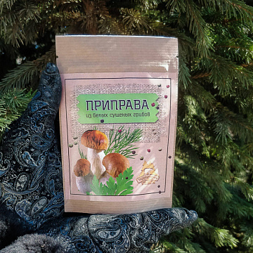 Приправа из белых сушеных грибов Фото Приправа из белых сушеных грибов