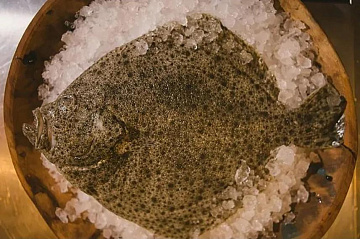 Камбала Калкан свежемороженная 1,5-3 кг Фото Камбала Калкан свежемороженная 1,5-3 кг