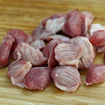 Желудок вальдшнепа Фото Желудок вальдшнепа