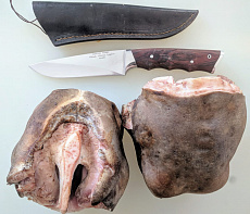 Губа лося очищенная