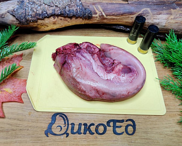 Язык лося Фото Язык лося