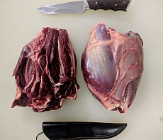 Голяшка северного оленя без кости