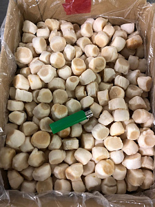 Превью Гребешок морской дикий, заморозка, филе М 80 шт/кг