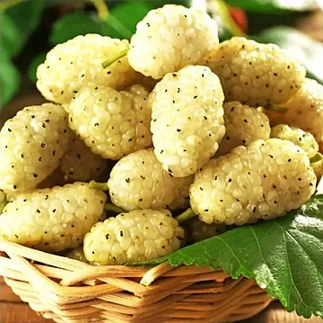 Шелковица свежемороженая белая (коробка 10кг ) Фото Шелковица свежемороженая белая (коробка 10кг )