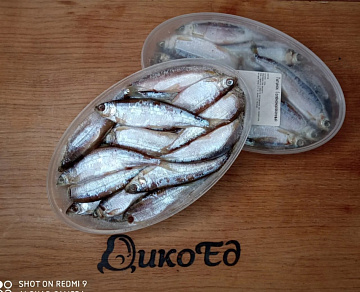 Тугунок соленомороженный 1,1-1,2 кг Фото Тугунок соленомороженный 1,1-1,2 кг