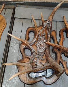 Превью Рог лося с рысью