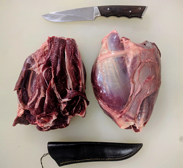 Голяшка европейского благородного оленя бескостная (для запекания) Фото Голяшка европейского благородного оленя бескостная (для запекания)