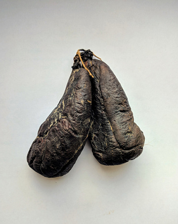 Мускус бобра (струя бобра вяленая) 40-80 г Фото Мускус бобра (струя бобра вяленая) 40-80 г