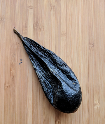 Желчь медведя вяленая (110-130гр) Фото Желчь медведя вяленая (110-130гр)