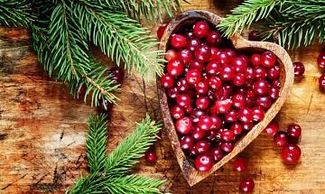 Клюква дикая (в мешках по 30кг) Фото Клюква дикая (в мешках по 30кг)